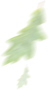 Feuille